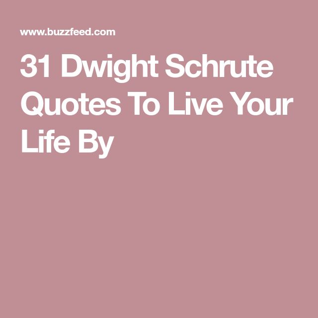 Best 25 Dwight Schrute Quotes Ideas On Dwight - Best 25 Dwight Schrute Quotes Ideas On Dwight best 25 dwight schrute quotes ideas on dwight best 25 dwight schrute quotes ideas on dwight
