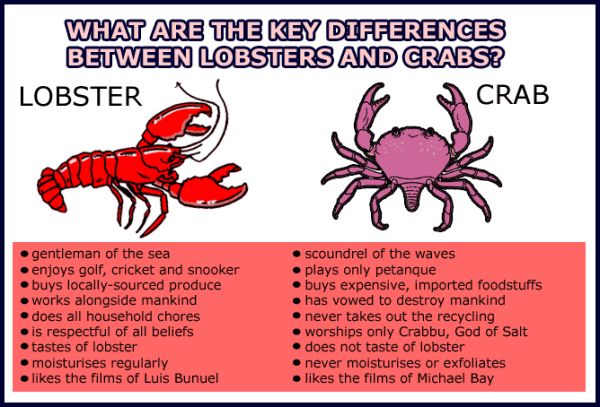 IMPORTANT INFORMATION What Are The Key Differences Between Lobsters And IMPORTANT INFORMATION What Are The Key Differences Between Lobsters And