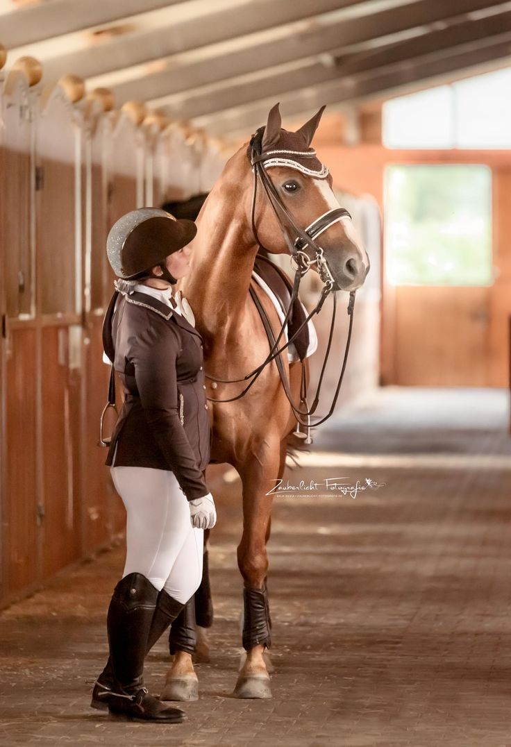 Reiten Professionell Reiten Professionell