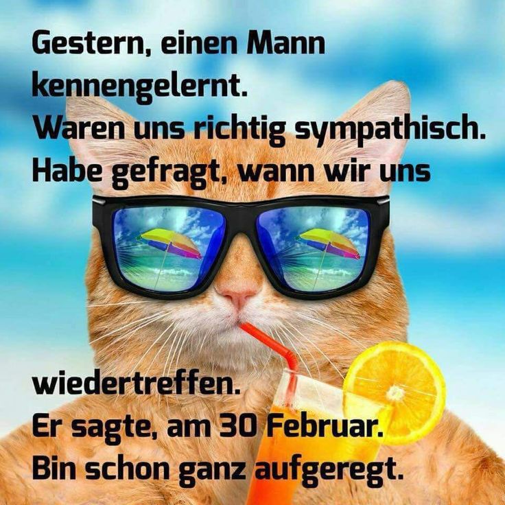 Witze kennenlernen