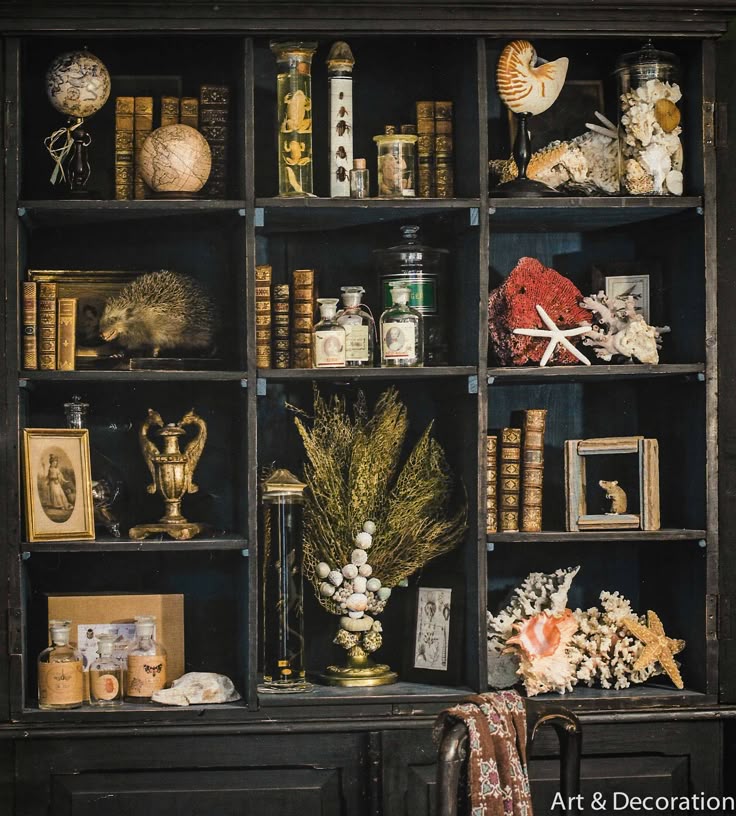 How To Decorate Bookshelves best 25+ decorating a bookcase ideas on pinterest | bookshelf How To Decorate Bookshelves best 25+ decorating a bookcase ideas on pinterest | bookshelf