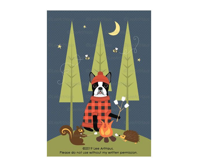 BOSTON TERRIER PHOTO 5x7 Photo Print Cute!!