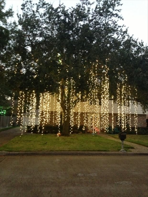 Raining Christmas Lights Outdoor Projects Pinterest Raining Christmas Lights Outdoor Projects Pinterest Weddings And Wedding