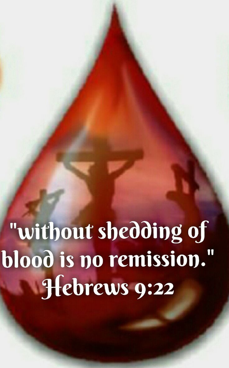 Pin on The Breath of God