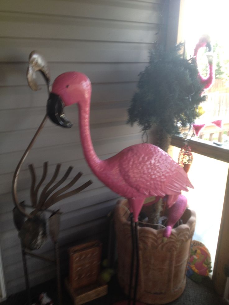 New friend from Hobby Lobby. Craft room office, Flamingo, Craft room