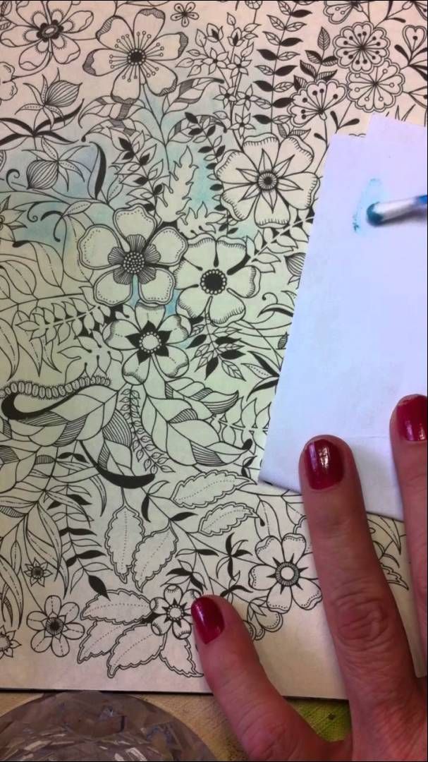 Usando Chalk No Livro Jardim Secreto