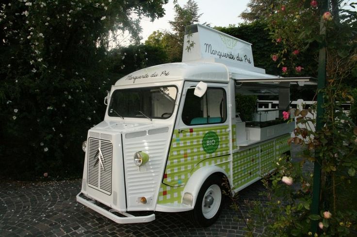 frozen yogurt vans frozen yogurt vans