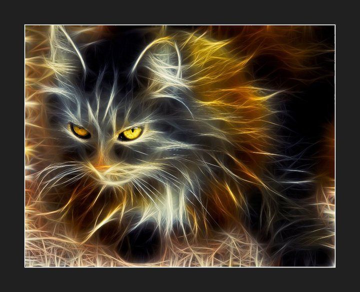 mystic cat | Cat art, Animal art, Fractal art