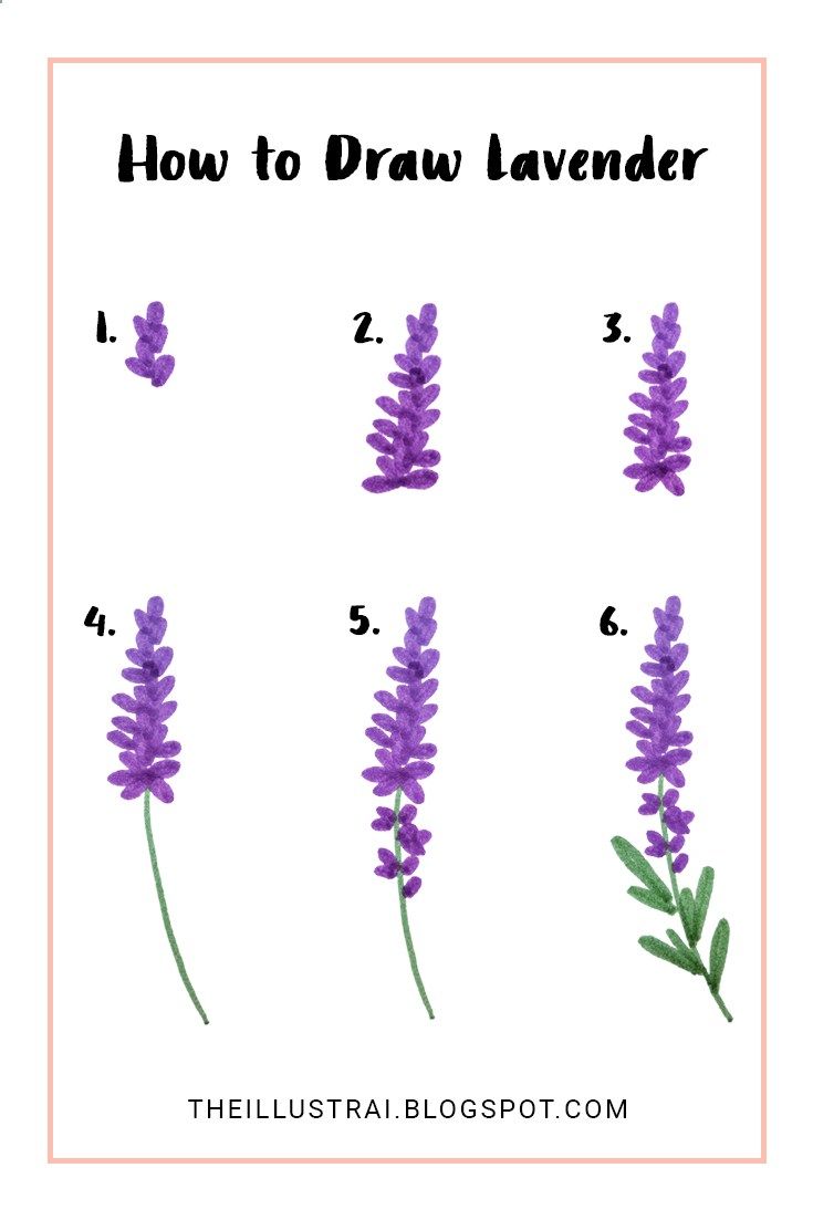 This is a very easy tutorial on how to draw lavender flowers. In six