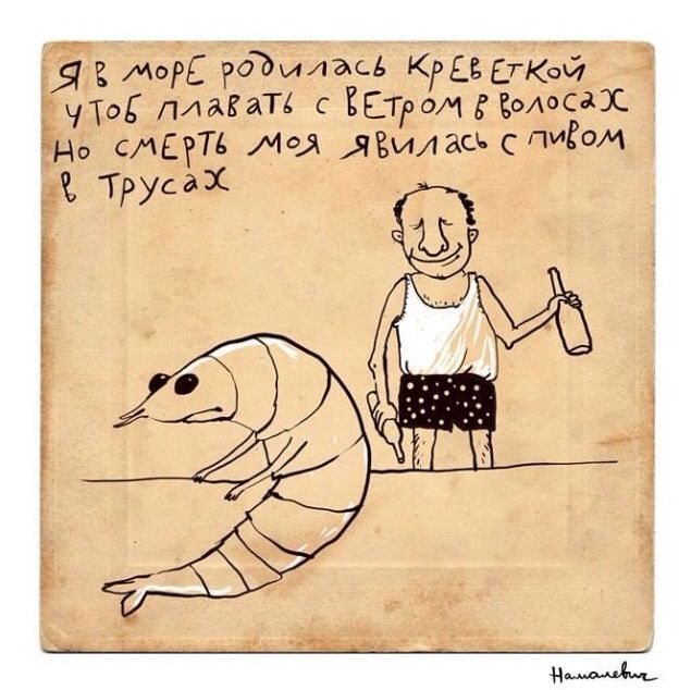 Пдд, приколами и стихами картинки
