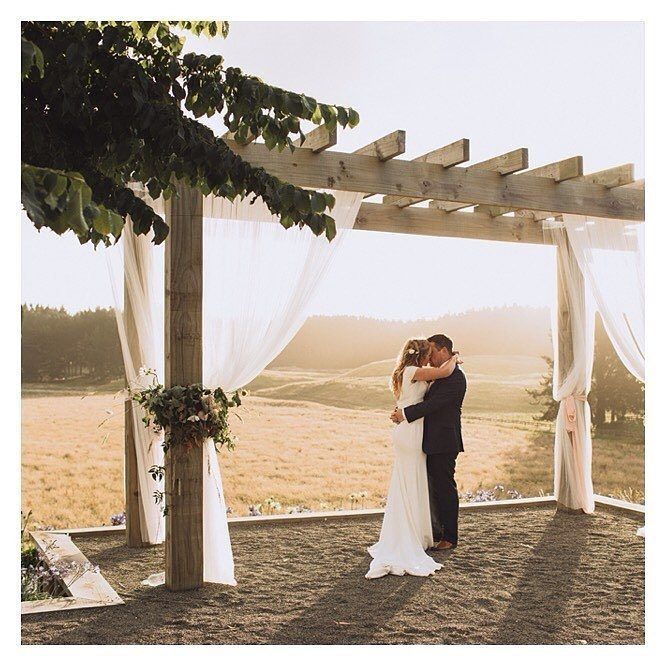 Perfect Wedding From Sudbury NZ Sudburynz On Instagram Bring Summer Perfect Wedding From Sudbury NZ Sudburynz On Instagram Bring Summer