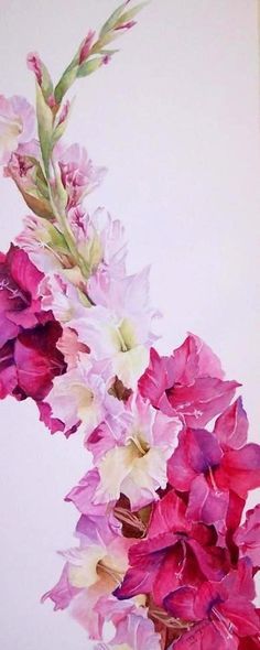 35 best garden gladiolus tattoo designs images on pinterest arm 35 best garden gladiolus tattoo designs images on pinterest arm