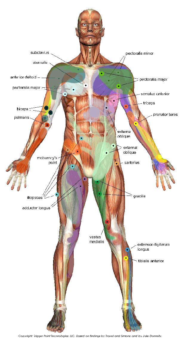 117 best fibromyalgia images on pinterest health chronic pain 117 best fibromyalgia images on pinterest health chronic pain