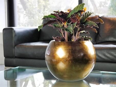 Die besten 25+ Blumenkübel fiberglas Ideen auf Pinterest - pflanzkubel aus beton gestalterische highlights Die besten 25+ Blumenkübel fiberglas Ideen auf Pinterest - pflanzkubel aus beton gestalterische highlights