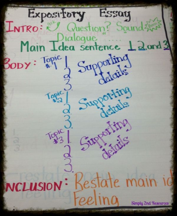 Expository essay guide