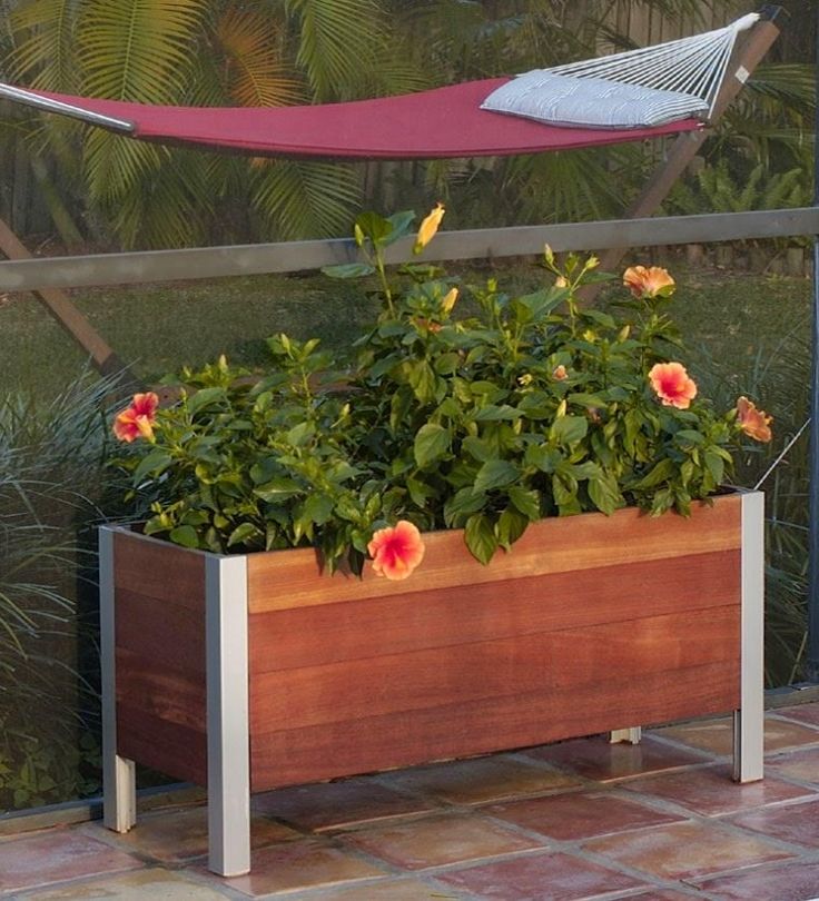 balkon blumenkasten hibiskus im praktischen aus holz mit wasserspeicher balkon blumenkasten hibiskus im praktischen aus holz mit wasserspeicher