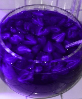 best 25 non alcoholic punch ideas on pinterest non alcoholic drinks best alcoholic drinks recipes and best mocktails - Easy Alcoholic Halloween Punch best 25 non alcoholic punch ideas on pinterest non alcoholic drinks best alcoholic drinks recipes and best mocktails - Easy Alcoholic Halloween Punch