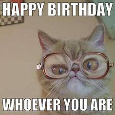 7 décembre anniversaire de boufardo ... 52 bougies sur le gâteau Ebd9a4c38139d5c6722a79f360e0c8c0--happy-birthday-cats-cat-memes