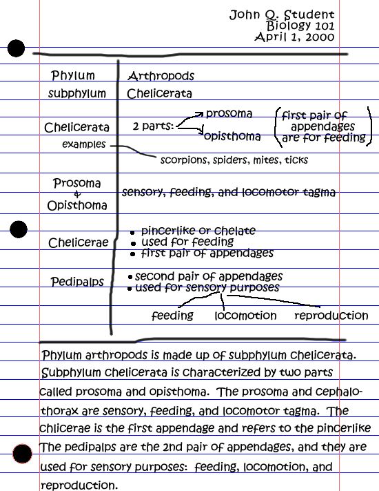 28 best Note-taking tips images on Pinterest Study skills - cornell note template 28 best Note-taking tips images on Pinterest Study skills - cornell note template