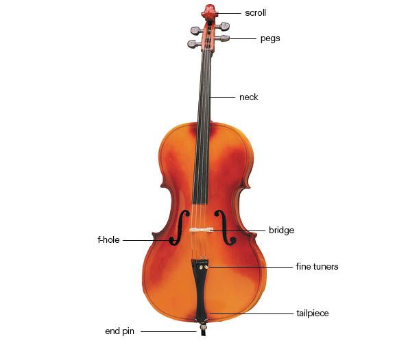 Violin Bow Parts Diagram