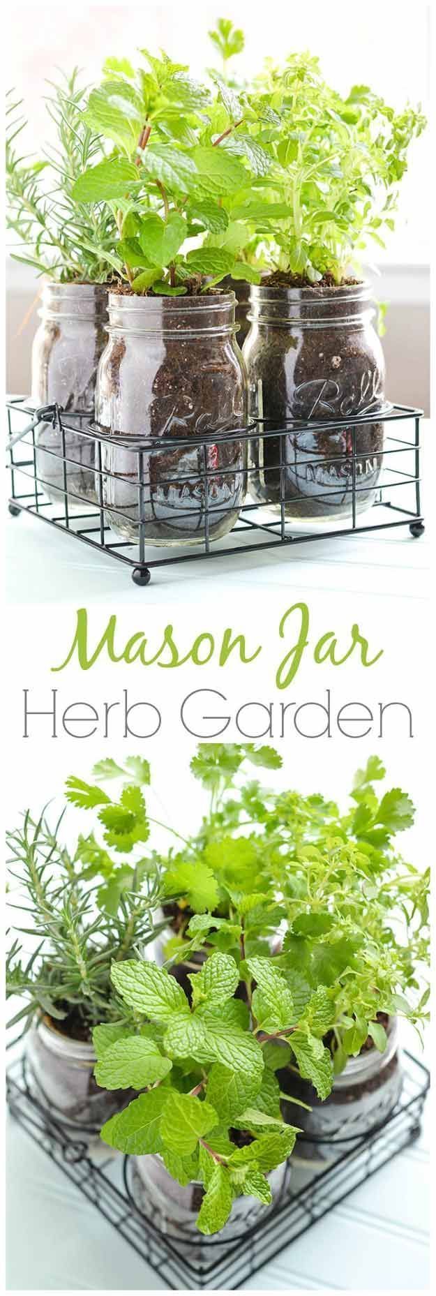 Indoor Herb Garden Ideas best 25+ diy herb garden ideas on pinterest | indoor herbs, herb Indoor Herb Garden Ideas best 25+ diy herb garden ideas on pinterest | indoor herbs, herb