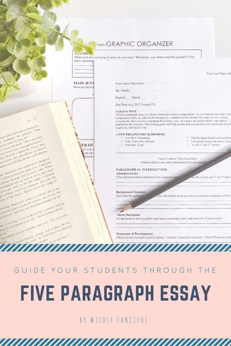 Essay structure online