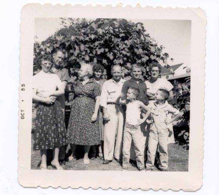 cherokee nation essay These efforts, white people in georgia and other southern states that abutted the cherokee nation refused to accept the cherokee people as social equals and urged. cherokee nation essay These efforts, white people in georgia and other southern states that abutted the cherokee nation refused to accept the cherokee people as social equals and urged.