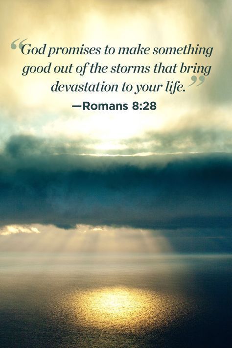 26 inspirational bible quotes that will change your perspective on