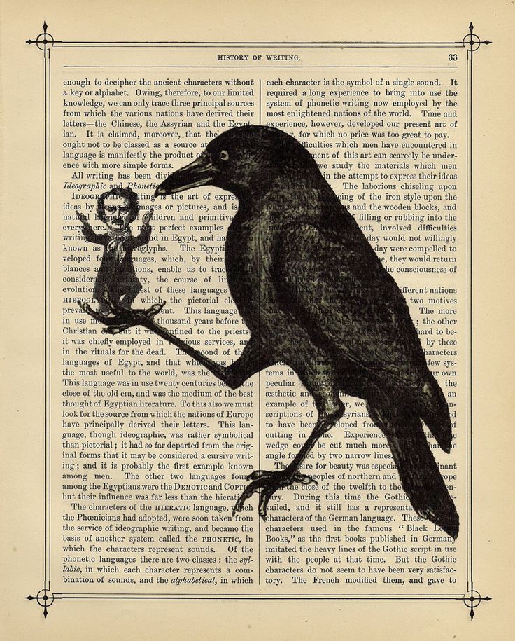 poe writing Edgar allan poe is a 19th-century master of the short story and pioneering author of both the modern detective story and the horror story director alfred hitchcock cited poe's work as the inspiration for his desire to make horror films although the tell-tale heart was rejected the first time poe. poe writing Edgar allan poe is a 19th-century master of the short story and pioneering author of both the modern detective story and the horror story director alfred hitchcock cited poe's work as the inspiration for his desire to make horror films although the tell-tale heart was rejected the first time poe.