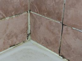 astuce pour nettoyer les joints de salle de bain les 25 meilleures ides de la catgorie nettoyer joint de carrelage sur pinterest joint de carrelage - Astuce Pour Nettoyer Les Joints De Salle De Bain astuce pour nettoyer les joints de salle de bain les 25 meilleures ides de la catgorie nettoyer joint de carrelage sur pinterest joint de carrelage - Astuce Pour Nettoyer Les Joints De Salle De Bain