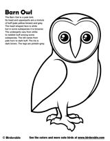 Birdorable coloring pages Owl coloring pages Coloring pages Free