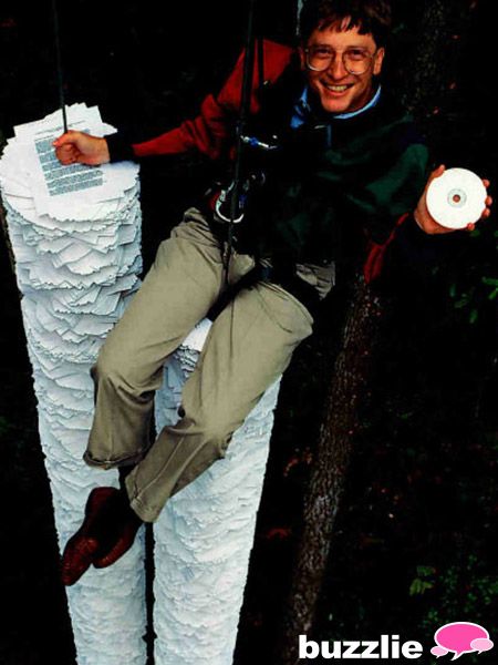 Bill gates essay