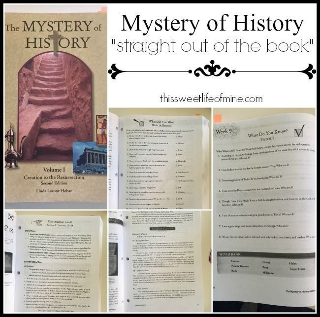 history of homeschooling essay Home schooling research paper starter throughout the history of the homeschool movement i need help writing an essay agreeing or disagreeing with home. history of homeschooling essay Home schooling research paper starter throughout the history of the homeschool movement i need help writing an essay agreeing or disagreeing with home.