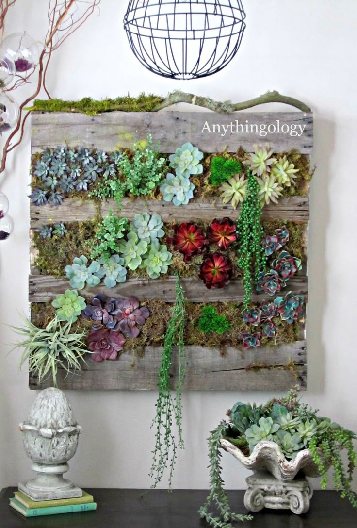 best 25+ succulent wall gardens ideas on pinterest | succulent best 25+ succulent wall gardens ideas on pinterest | succulent