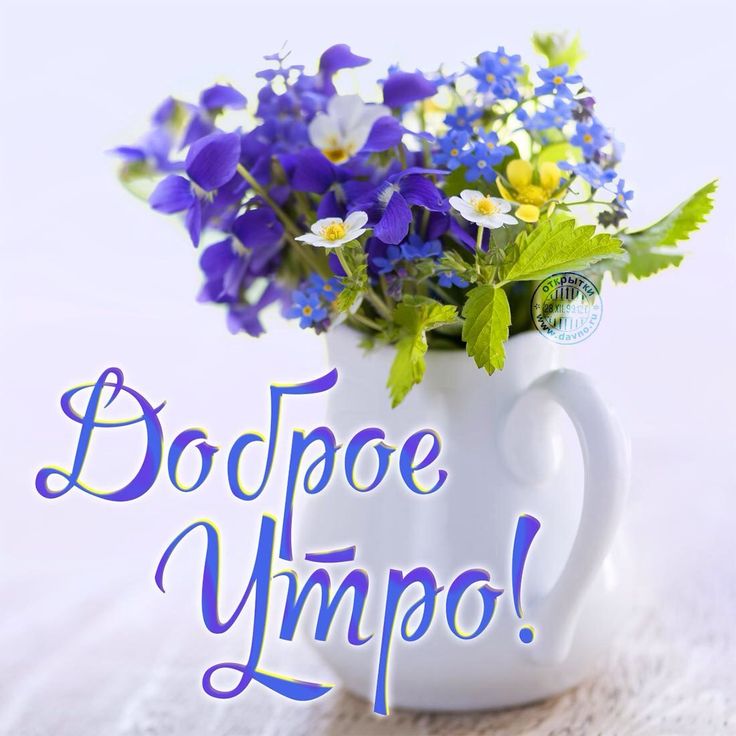 Открытки с надписью доброе утро друзья