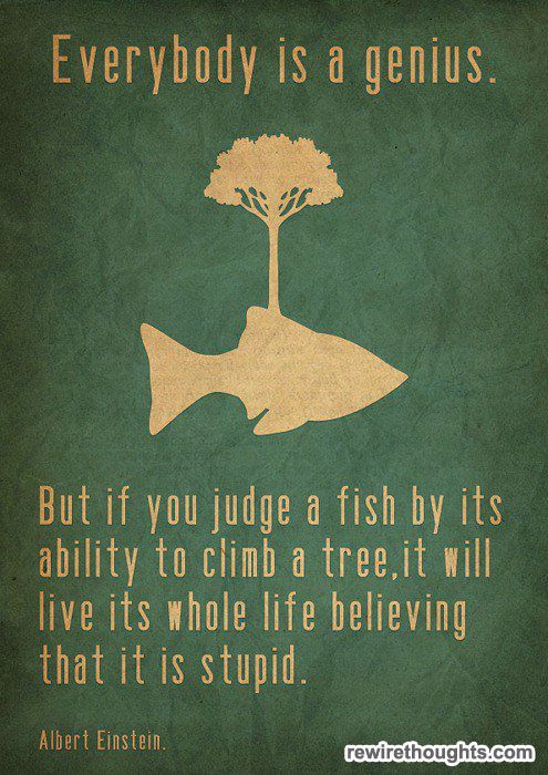 Everybody Is A Genius Quotes Inspirational Inspirational Impressive Quote Finder Everybody Is A Genius Quotes Inspirational Inspirational Impressive Quote Finder