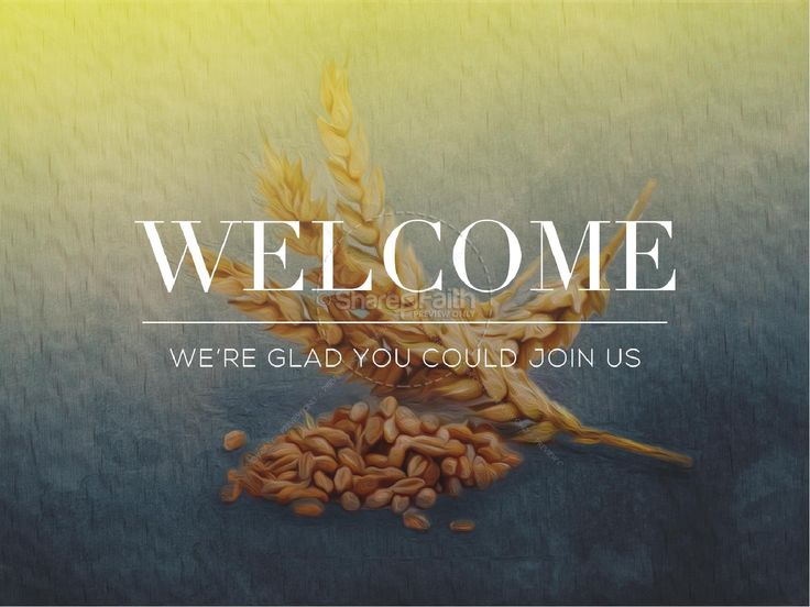 free church app builder with bible free church app builder with bible