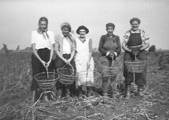 Old Fashioned Farmer Working In The Field Uk Old Fashioned Farmer Working In The Field Uk