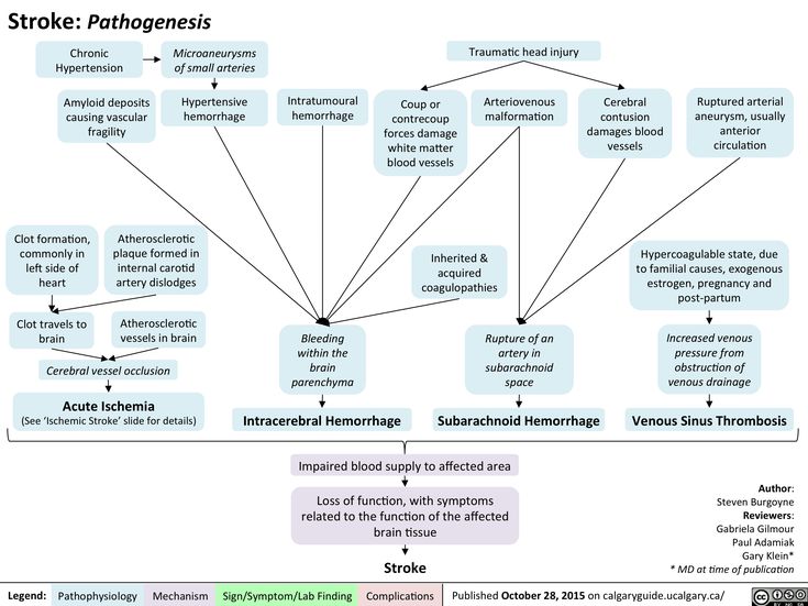 185 best Hospitalist images on Pinterest Medicine, Nursing and - physical exam template 185 best Hospitalist images on Pinterest Medicine, Nursing and - physical exam template