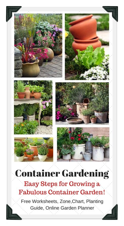 173 best Ve able Garden Design Tips DIY images on Pinterest Easy steps for growing a fantastic container ve able garden on your patio balcony porch