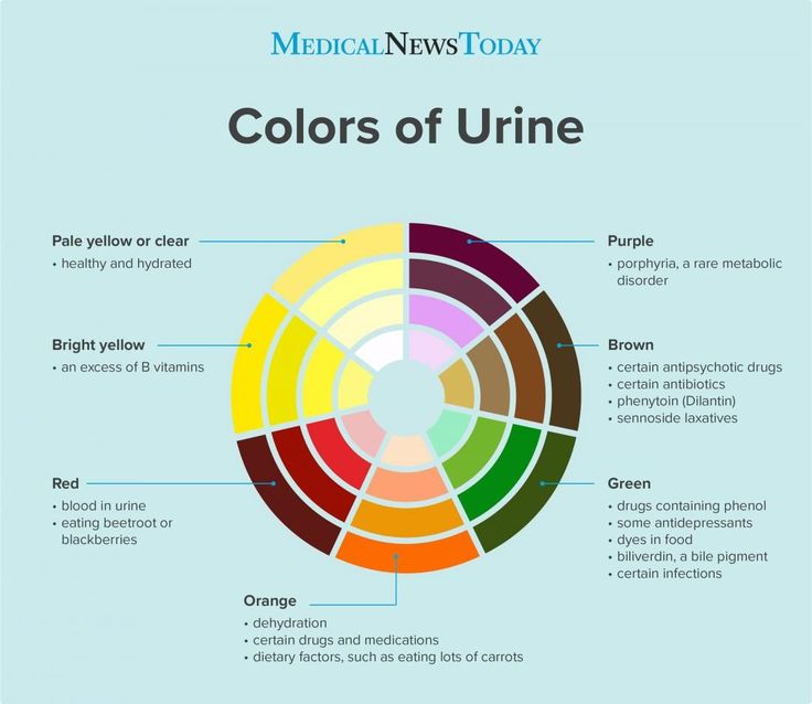 Dog Urine Color Chart Google Search In 2020 Color Of Urine Urinal Dog Urine Color Chart Google Search In 2020 Color Of Urine Urinal