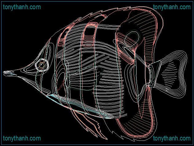 22 best Sea fish cad block dwg images on Pinterest Cad blocks, Sea - new world map cad free 22 best Sea fish cad block dwg images on Pinterest Cad blocks, Sea - new world map cad free