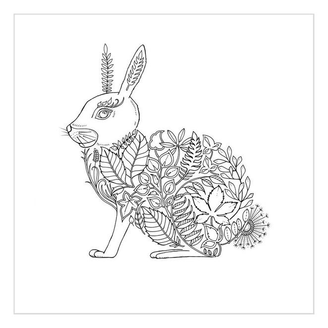 Johanna Basford Secret Garden Enchanted Forest Colouring In Adults Inky Treasures