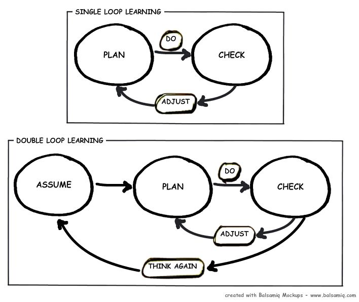 Single-loop and double-loop models in research on decision
