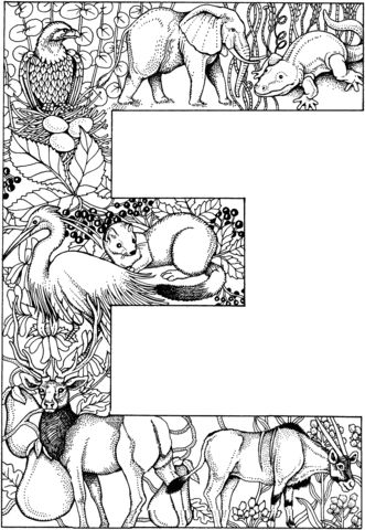 Letter E with Animals coloring page from English Alphabet with Animals category....