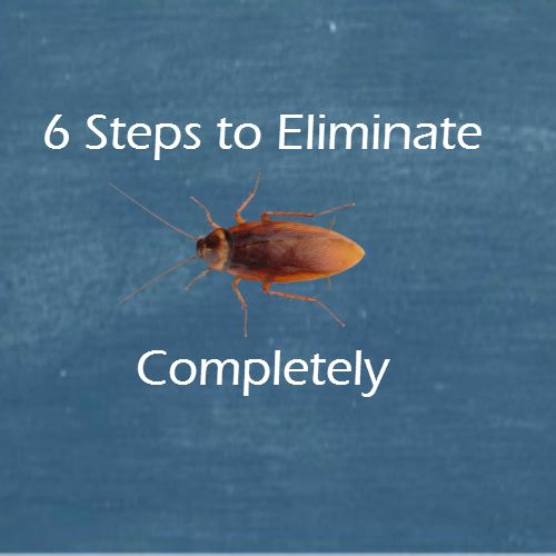 15 best Best Roach Killers images on Pinterest | Roach killer, Pest ... 15 best Best Roach Killers images on Pinterest | Roach killer, Pest ...