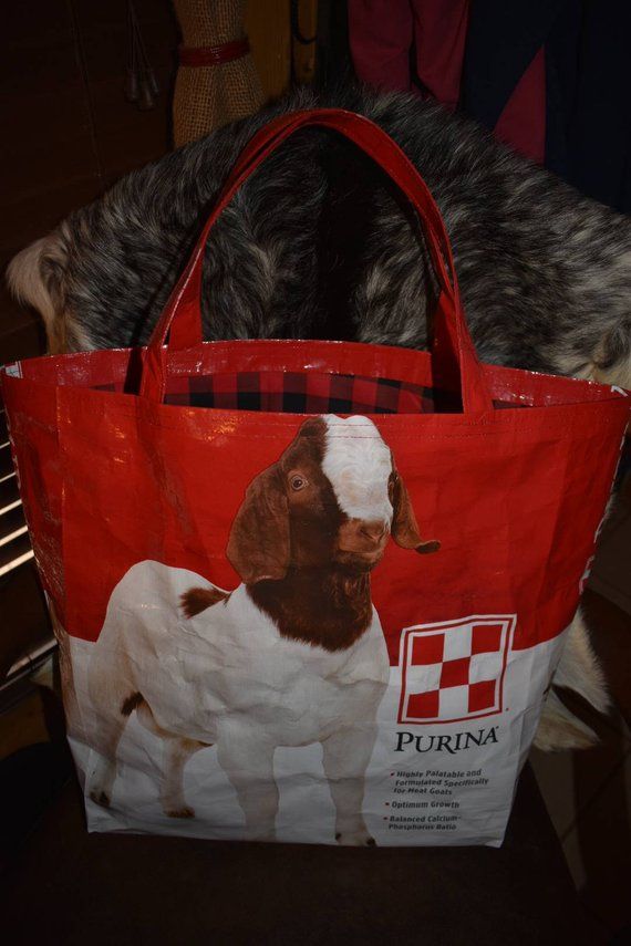 Goat Recycled Feed Bag