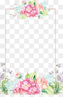 1080 Uhd Araliya Flower Clipart Border Pack 5109 4570book