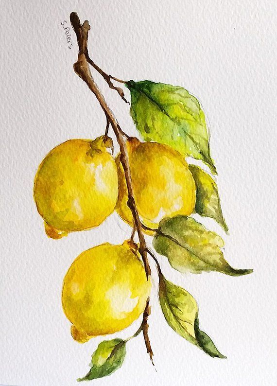 Original Watercolor Painting, Rustic Painting, Lemon Fruit, Farmhouse Decor 6x8 Inch- Joan McMillan