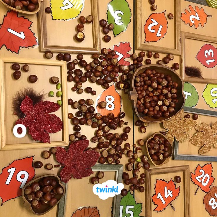 Autumn Number Match!